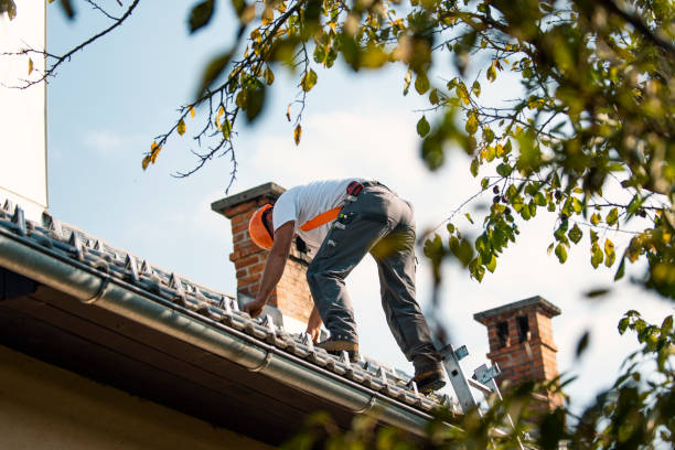 Best Roof Waterproofing Services  in De Motte, IN