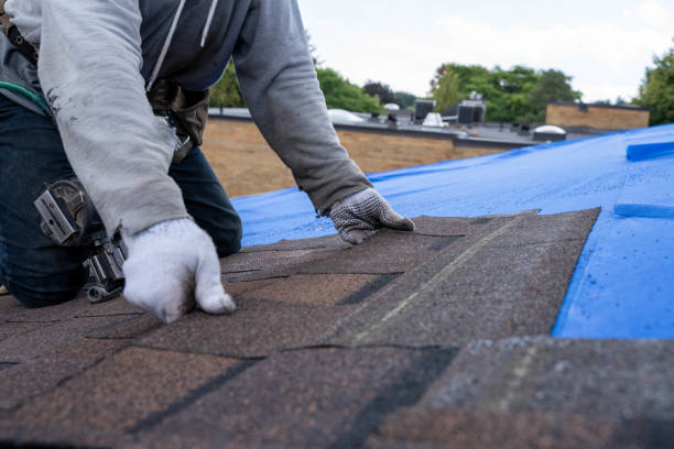 Best Storm Damage Roof Repair  in De Motte, IN