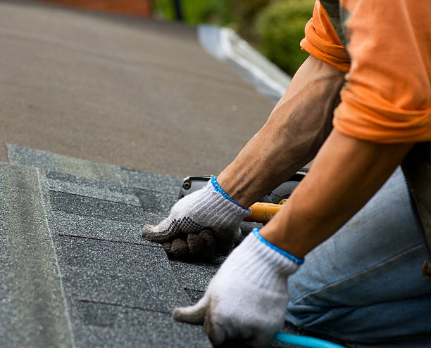 Best Residential Roofing Contractor  in De Motte, IN